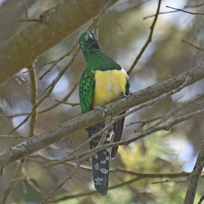 Plettenberg Bay, Western Cape - October 2024